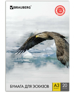 Папка для рисования БОЛЬШОГО ФОРМАТА А3, 20 л., 160 г/м2, BRAUBERG, 297х420 мм