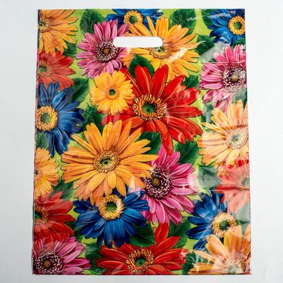 Сумка ПВД 38*47, 60 мкм 50/500