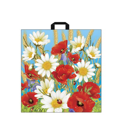 Сумка ПВД 45*45, 70 мкм 50/500