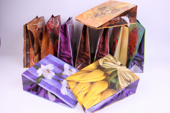 Пакет бумажный ламинированный XL 1\12