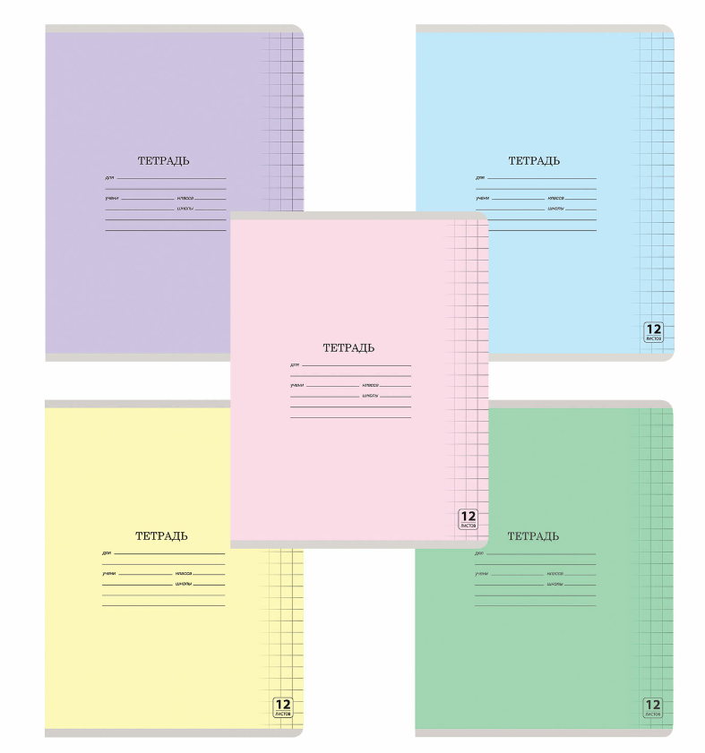 Тетрадь 12 листов А5 крупная клетка обложка офсет