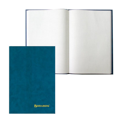 Книга учета 96 л. клетка А4 (200х290 мм)