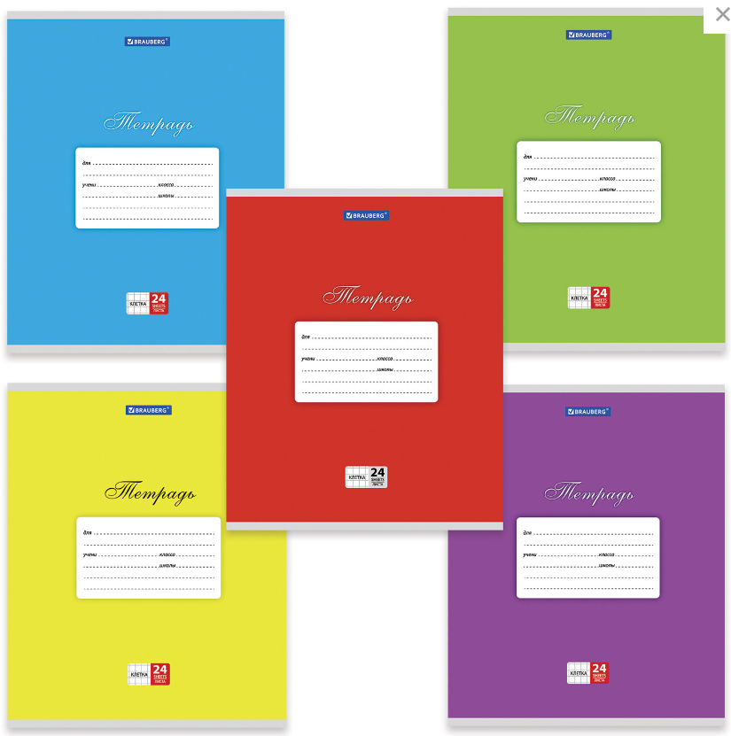 Тетрадь 24 листа А5 клетка обложка картон