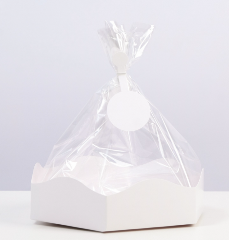 Пакет с жестким дном белый 22*22*33 см