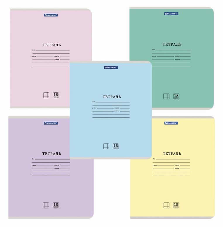 Тетрадь BRAUBERG КЛАССИКА NEW 12 листов клетка