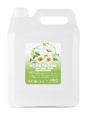 Мыло жидкое 5л FlexFresh Эконом канистра