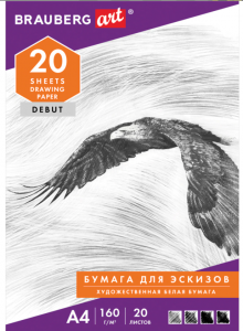 Папка для рисования А4, 20 л., 160 г/м2, BRAUBERG, 210х297 мм